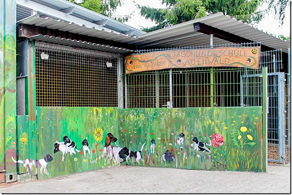 Jagdhundschlue Vom Auenwald